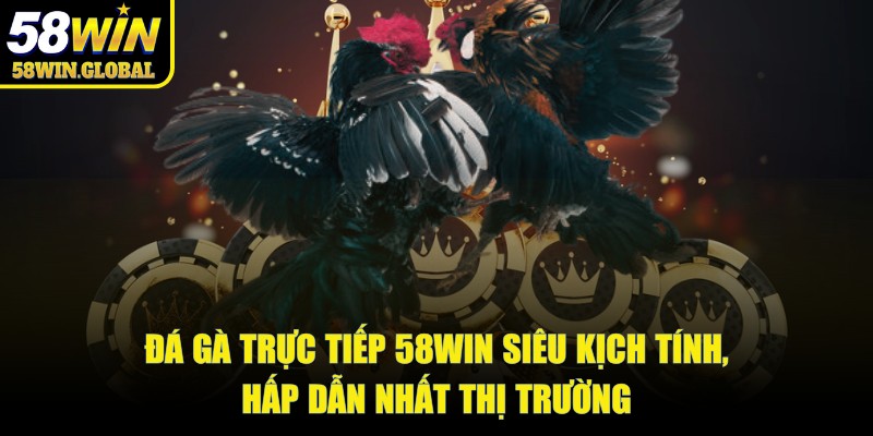 Đá gà trực tiếp 58win siêu kịch tính, hấp dẫn nhất thị trường