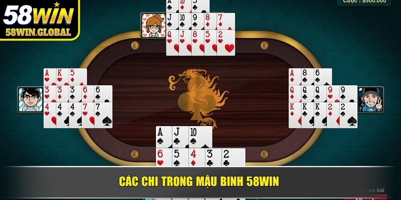 Các chi trong mậu binh 58WIN