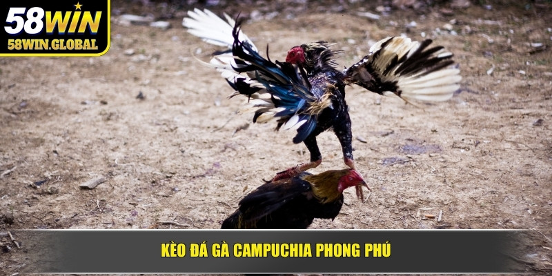 Kèo đá gà Campuchia phong phú