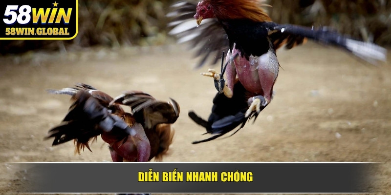 Diễn biến nhanh chóng