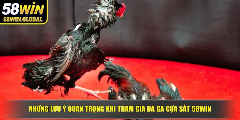 Những lưu ý quan trọng khi tham gia đá gà cựa sắt 58WIN
