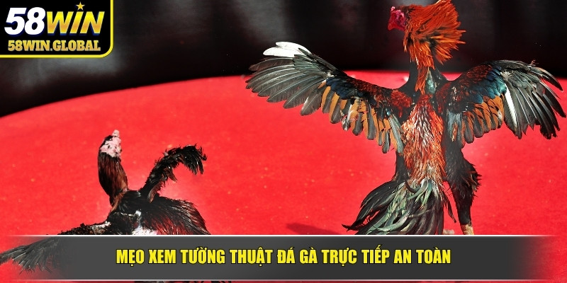Mẹo xem tường thuật đá gà trực tiếp an toàn